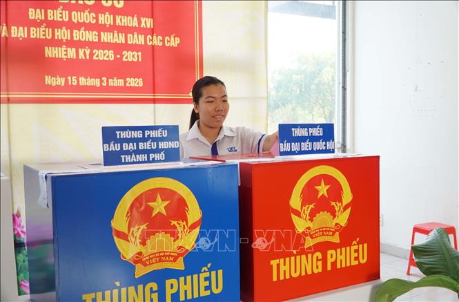 Sinh viên tham gia bỏ phiếu tại khu vực bỏ phiếu 20, phường Đông Hoà, TP. Hồ Chí Minh. Ảnh: Thu Hoài - TTXVN