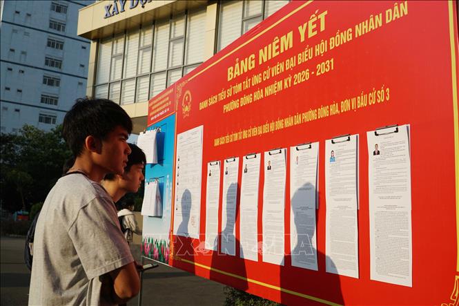 Sinh viên xem tiểu sử và chương trình hành động của các ứng cử viên tại khu vực bỏ phiếu 19, phường Đông Hoà, TP. Hồ Chí Minh. Ảnh: Thu Hoài - TTXVN