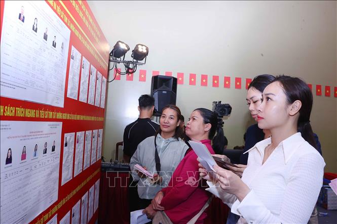 Cử tri phường Ba Đình xem danh sách của người ứng cử tại Khu vực bỏ phiếu số 02 phường Ba Đình, thành phố Hà Nội. Ảnh: Văn Điệp – TTXVN