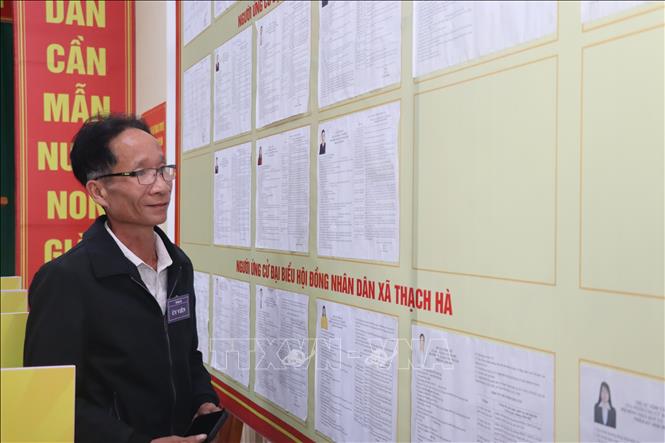 Cử tri xã Thạch Hà đọc kỹ thông tin về các ứng cử viên trước khi viết phiếu bầu. Ảnh: Hoàng Ngà - TTXVN