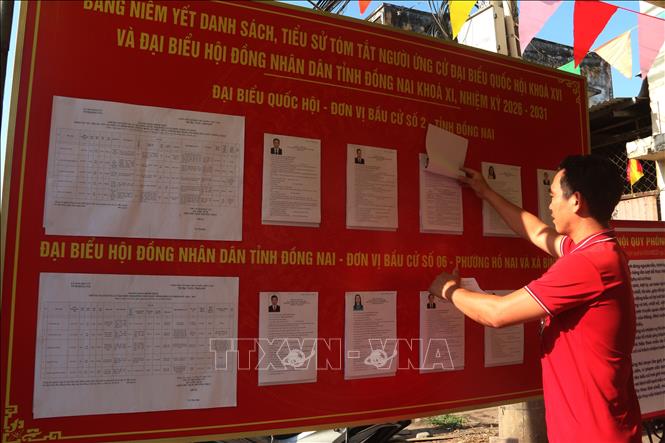 Cử tri Đồng Nai theo dõi thông tin các đại biểu tham gia ứng cử đại biểu Quốc hội khóa XVI. Ảnh: Lê Xuân-TTXVN