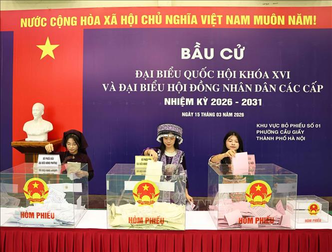Giàng Thị Ngọc Ánh và Sùng Thị Thúy (dân tộc Mông, sinh viên K75, Khoa Giáo dục Mầm non) cùng Mạc Thị Dậu (dân tộc Nùng, sinh viên K73, Khoa Việt Nam học), Trường Đại học Sư Phạm Hà Nội bỏ phiếu bầu cử Đại biểu Quốc hội khóa XVI và Đại biểu HĐND các cấp nhiệm kỳ 2026 - 2031. Ảnh: Thanh Tùng - TTXVN 
