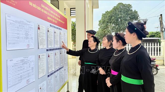 Đồng bào dân tộc Tày ở thôn Nà Ó, xã An Lạc, tỉnh Bắc Ninh xem danh sách các ứng cử viên đại biểu Quốc hội và HĐND. Ảnh: Việt Hùng - TTXVN
