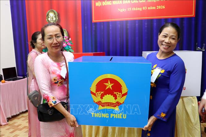 Các thành viên Tổ bầu cử số 27, phường Tam Thắng, TP. Hồ Chí Minh tiến hành quy trình kiểm phiếu. Ảnh: Mạnh Dương – TTXVN