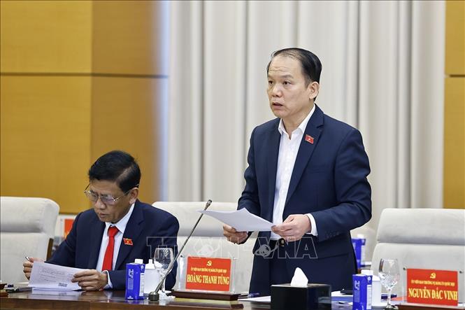 Uỷ viên Ban Thường vụ Đảng uỷ Quốc hội, Chủ nhiệm Ủy ban Pháp luật và Tư pháp của Quốc hội Hoàng Thanh Tùng phát biểu. Ảnh: Doãn Tấn - TTXVN