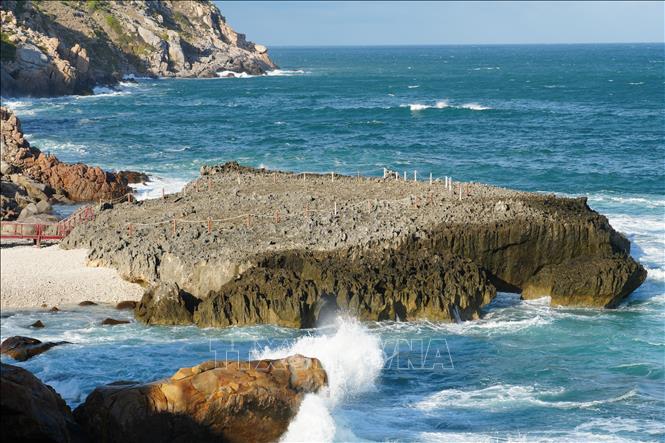 The fossilised coral terrace, a natural sculpture where thousands of sharp rock spires, some rising 20 – 30 cm, pierce upwards while others dip into hollows of varying shapes, is the most mesmerizing landscape to visitors. VNA Photo: Nguyễn Thành