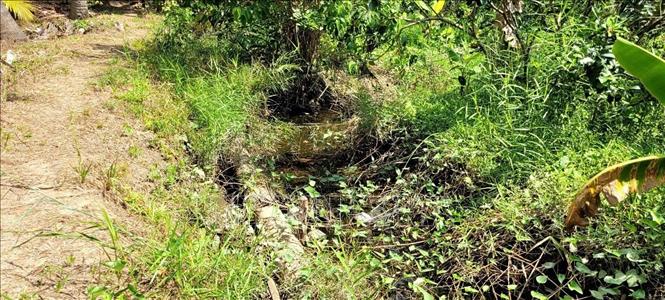 Ngoài vấn đề mùi hôi, người dân còn phản ánh nghi ngờ cơ sở này xả nước thải chăn nuôi chưa qua xử lý ra ranh giới đất lân cận và đổ vào kênh công cộng Xuân Hòa. Ảnh: Công Trí-TTXVN