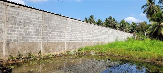 Ngoài vấn đề về mùi hôi, người dân còn phản ánh nghi ngờ cơ sở này xả nước thải chăn nuôi chưa qua xử lý ra ranh giới đất lân cận và đổ vào kênh công cộng Xuân Hòa. Ảnh: Công Trí-TTXVN