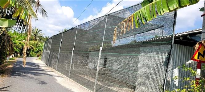 Nhiều hộ dân tại xã ấp Nhơn Hòa, xã Bình Ninh, tỉnh Đồng Tháp bức xúc trước tình trạng một trại nuôi vịt gây ô nhiễm môi trường. Ảnh: Công Trí-TTXVN