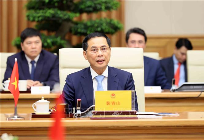 Vietnamese Deputy Prime Minister Bui Thanh Son speaks at the meeting. VNA Photo: An Đăng 