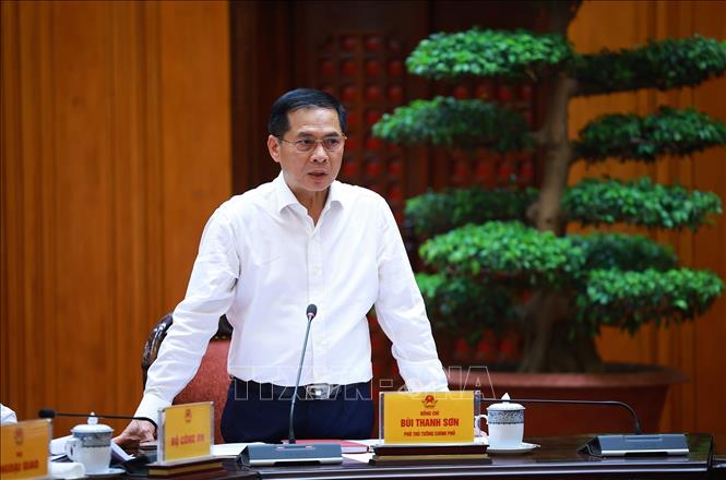 Phó Thủ tướng Bùi Thanh Sơn, Tổ Trưởng Tổ công tác phát biểu. Ảnh: Dương Giang-TTXVN 