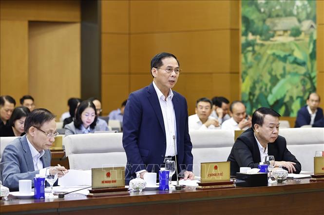 Phó Thủ tướng Chính phủ Bùi Thanh Sơn phát biểu. Ảnh: Doãn Tấn - TTXVN

