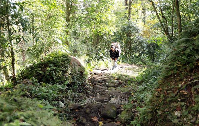 Trải qua thời gian và chiến tranh, hiện nay con đường này còn khoảng 17km. Ảnh: Quý Trung – TTXVN