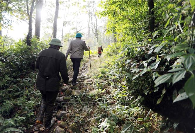Thời gian qua, tỉnh Lai Châu phối hợp với tỉnh Lào Cai tiến hành khảo sát để đưa ra các phương án khai thác phát triển du lịch con đường đá cổ Pavie. Ảnh: Quý Trung – TTXVN