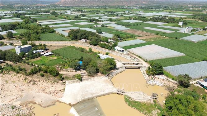 Hệ thống kênh dẫn nước từ đập Nha Trinh tỏa ra hai bờ sông Cái Phan Rang tiếp tục phân nhánh, cung cấp nguồn nước cho hàng nghìn ha đất nông nghiệp. Ảnh: Nguyễn Thành - TTXVN