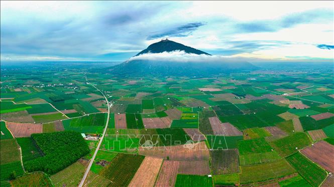 Toàn cảnh vùng sản xuất nông nghiệp được hưởng lợi từ hệ thống thủy lợi, góp phần nâng cao hiệu quả canh tác tại Tây Ninh. Ảnh: Minh Phú - TTXVN