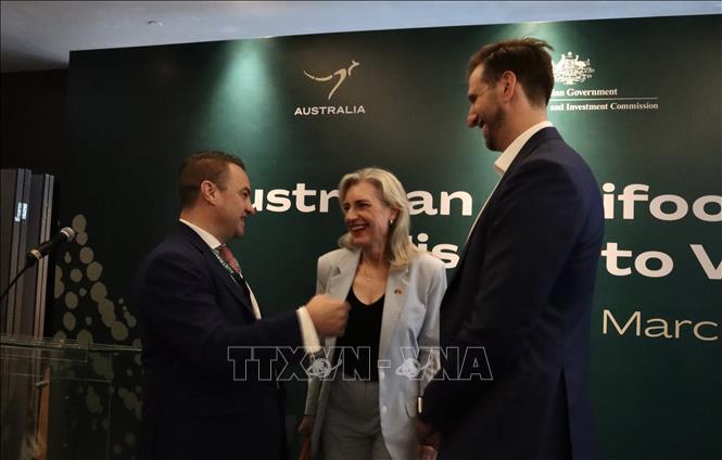 Delegates exchange view on the sideline of the forum. VNA Photo: Xuân Anh 