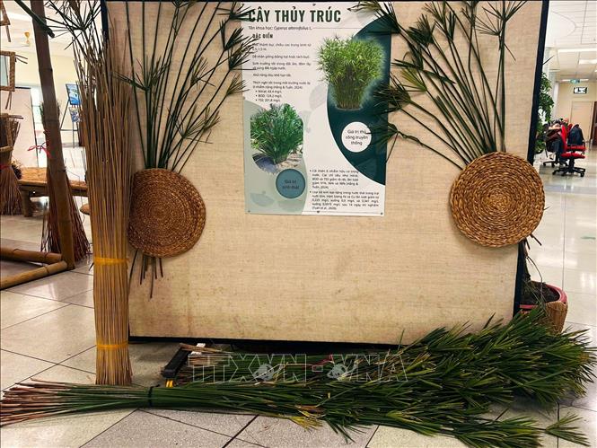 Trưng bày các sản phẩm thủ công làm từ tài nguyên bản địa vùng Đồng bằng sông Cửu Long. Ảnh: Ánh Tuyết - TTXVN