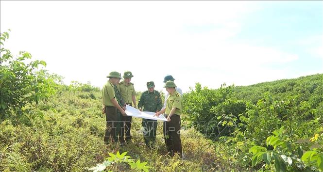Lực lượng kiểm lâm phối hợp cùng Bộ đội biên phòng tỉnh Ninh Bình tuần tra khu rừng ngập mặn tại huyện Kim Sơn, tỉnh Ninh Bình. Ảnh: Hải Yến - TTXVN