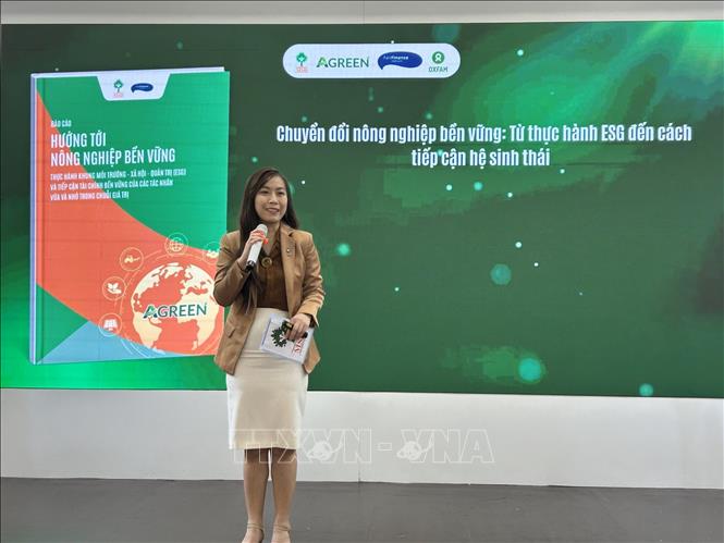 Bà Nguyễn Phương Linh, Viện trưởng Viện Nghiên cứu Quản lý Phát triển Bền vững phát biểu khai mạc tại sự kiện. Ảnh: Diệu Thúy - TTXVN