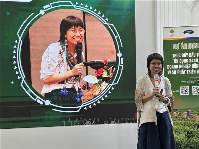 Thạc sĩ  Hoàng Thu Trang, chuyên gia tư vấn độc lập, đại diện nhóm nghiên cứu chia sẻ thực trạng thực hành ESG và tiếp cận tín dụng xanh của danh nghiệp nông nghiệp. Ảnh: Diệu Thúy - TTXVN