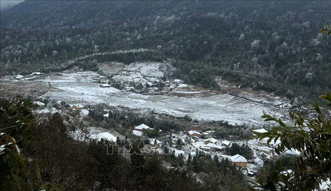 Tuyết rơi phủ trắng xóa tại xã Y Tý, huyện Bát Xát (Lào Cai) do nhiệt độ giảm sâu Ảnh: Quốc Khánh - TTXVN