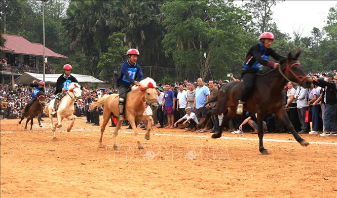 Các nài ngựa thi đấu gay cấn, thể hiện kỹ thuật điều khiển điêu luyện trong Giải đua ngựa xã Phù Lưu (tỉnh Tuyên Quang). Ảnh: Minh Tâm-TTXVN