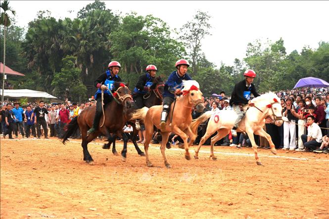 Những “chiến mã” tung vó trên đường đua đất đỏ, mang đến những màn so tài kịch tính tại Giải đua ngựa Phù Lưu (tỉnh Tuyên Quang). Ảnh: Minh Tâm - TTXVN