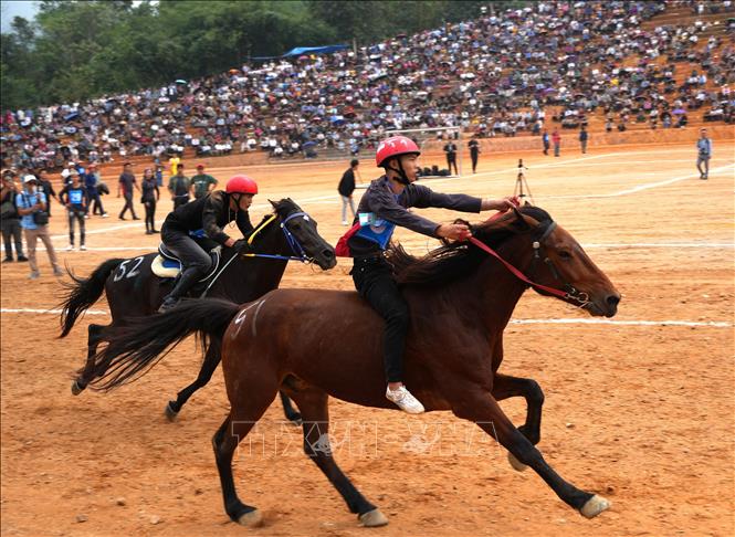 Những pha bứt tốc ấn tượng trên đường đua tại Giải đua ngựa xã Phù Lưu (tỉnh Tuyên Quang) tạo nên không khí sôi động, hấp dẫn. Ảnh: Minh Tâm - TTXVN