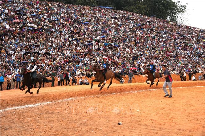 Khán giả chen kín các triền đồi, theo dõi Giải đua ngựa xã Phù Lưu (tỉnh Tuyên Quang) sau thời gian gián đoạn vì dịch COVID-19. Ảnh: Minh Tâm-TTXVN