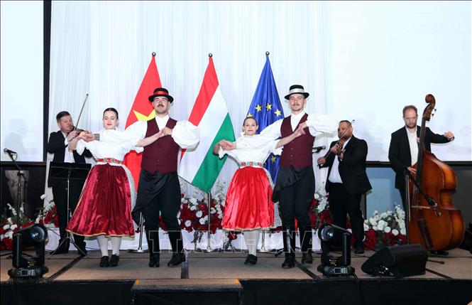 Chương trình văn nghệ do các nghệ sỹ Hungary trình diễn. Ảnh: Xuân Khu-TTXVN