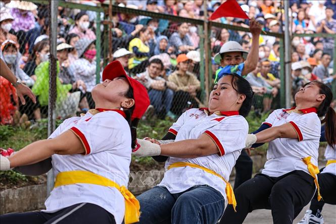 Các nữ vận động viên kéo co nỗ lực mang lại chiến thắng cho đội mình. Ảnh: Quỳnh Anh/TTXVN phát