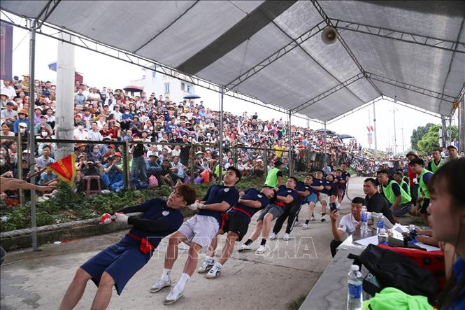 Các vận động viên kéo co nỗ lực mang lại chiến thắng cho đội mình. Ảnh: Quỳnh Anh/TTXVN phát