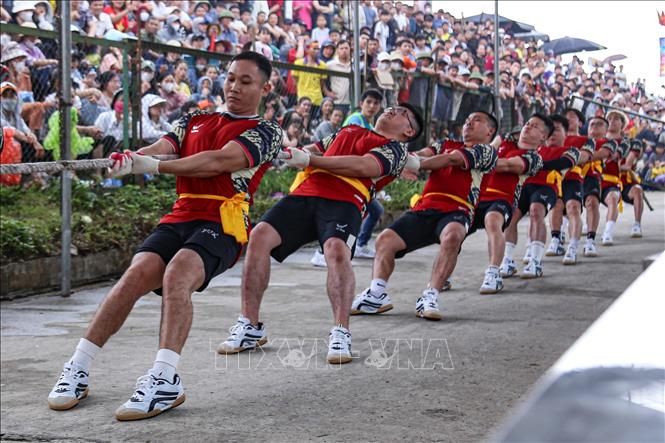 Các vận động viên kéo co nỗ lực mang lại chiến thắng cho đội mình. Ảnh: Quỳnh Anh/TTXVN phát