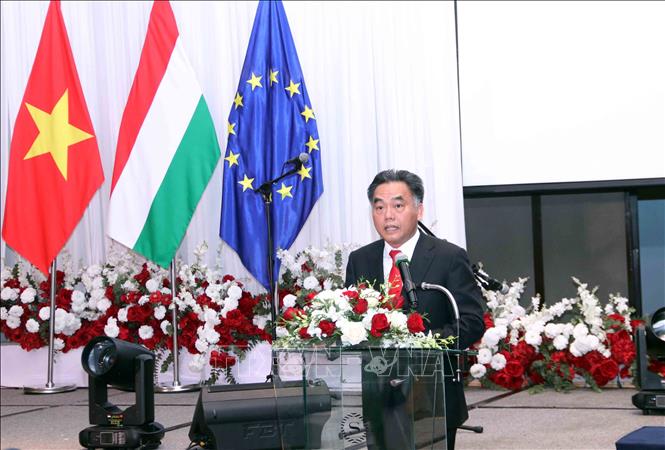 Vice Chairman of the HCM City People's Committee Nguyen Loc Ha (L) speaks at the event.  VNA Photo: Xuân Khu 