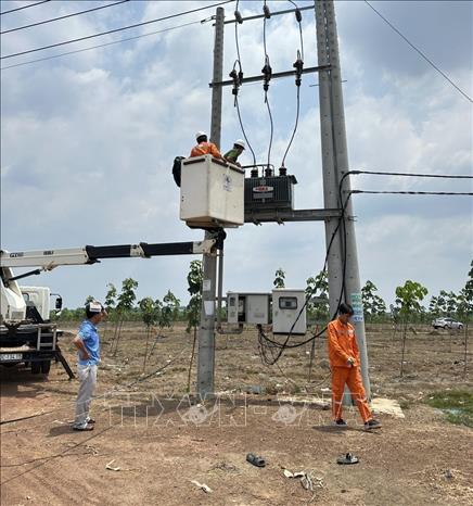 Điện lực Đồng Phú phối hợp với công an tổ chức khám nghiệm hiện trường. Ảnh: TTXVN phát