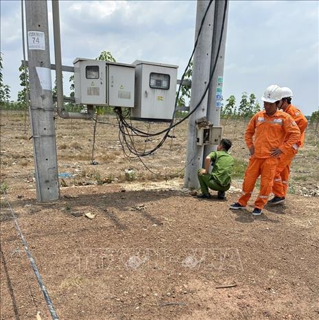 Điện lực Đồng Phú phối hợp với công an tổ chức khám nghiệm hiện trường. Ảnh: TTXVN phát