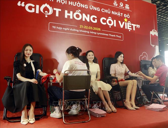 Các á hậu, hoa hậu, hoa khôi hiến máu tại Chương trình “Chủ nhật Đỏ” lần thứ 18 - năm 2026, tại tỉnh Phú Thọ. Ảnh: Ảnh: Hoàng Hùng - TTXVN