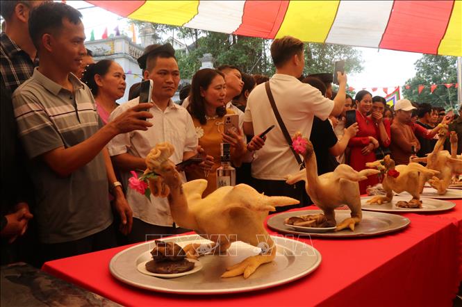 Gà để lễ thánh được chọn lựa kỹ, nuôi nhốt riêng và có chế độ ăn uống sạch, thức ăn chủ yếu là gạo, ngô, bí đỏ và phải đạt từ 4,5 kg trở lên. Gà khi dâng lễ thong thường nuôi từ 36 đến 48 tháng, đáp ứng đủ 3 tiêu chí “nhất dáng, nhì da, thứ ba bên trong”, tức là nhìn bề ngoài da phải vàng, đều, mịn, đẹp, không bị sứt sát và phải khâu thật khéo để không thấy các vết cắt. Ảnh: Thái Hùng - TTXVN