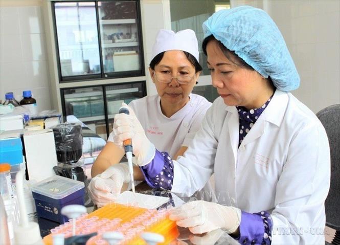 Tiến sĩ, Bác sĩ Nguyễn Thị Ngọc Lan, Trưởng khoa Vi sinh Bệnh viện Phạm Ngọc Thạch TP Hồ Chí Minh thực hiện lượng giá phương pháp mới chuẩn đoán lao đa kháng thuốc với kết quả chính xác và nhanh chóng, chỉ trong vòng 24-48 giờ thay cho 4-5 tháng theo phương pháp cũ. Ảnh: Phương Vy - TTXVN