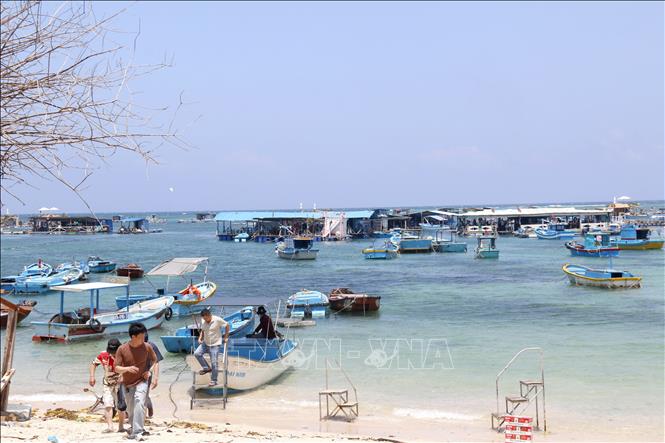 Đoàn công tác khảo sát khu vực khu lồng bè phục vụ du khách trên biển tại đặc khu Phú Quý. Ảnh: Nguyễn Thanh - TTXVN