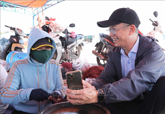 Các chuyên gia hướng dẫn ngư dân tải app, sử dụng ứng dụng báo cáo, theo dõi, cung cấp dữ liệu về động vật biển. Ảnh: Phan Phương – TTXVN