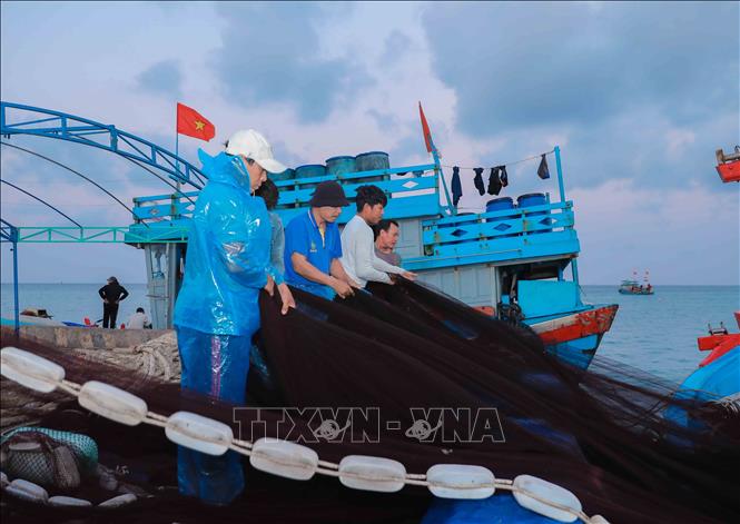 Ngư dân tham dự tập huấn tại Lý Sơn về bảo tồn biển, rùa biển và hệ sinh thái biển; được trang bị kiến thức, kỹ năng cứu hộ, giám sát, góp phần lan tỏa ý thức bảo vệ đại dương bền vững. Ảnh: Phan Phương – TTXVN