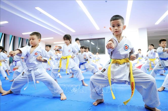 Lớp võ Karate của xã được thành lập từ năm 1995 và duy trì đến nay, thành phần chủ yếu là lứa tuổi thanh thiếu niên, từ học sinh tiểu học đến học sinh THPT. Ảnh: Minh Quyết - TTXVN