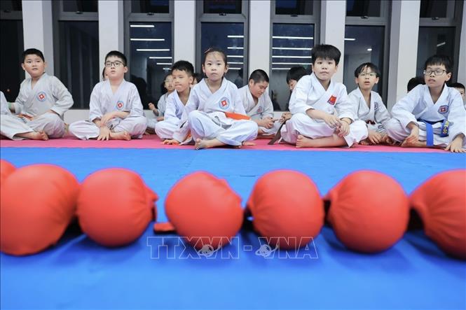 CLB tập trung rèn luyện kỹ thuật, sức khoẻ và tinh thần võ đạo cho võ sinh. Ảnh: Minh Quyết - TTXVN
