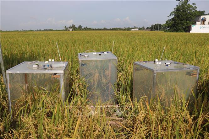 Hệ thống đo phát thải tại ruộng tham gia 