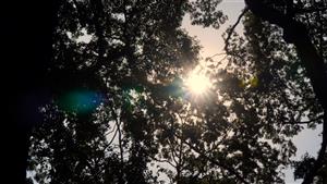 TP Hồ Chí Minh nắng nóng có xu hướng tăng trên diện rộng, tia UV ở mức cao