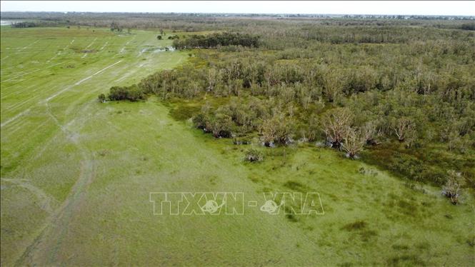 Vùng đất ngập nước tại Vườn quốc gia Tràm Chim. Ảnh: Nhựt An - TTXVN