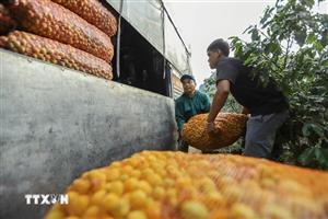 Hỗ trợ người dân 