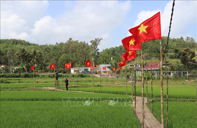 Tuyến đường dẫn vào rừng ngập mặn Bàu Cá Cái đi men theo cánh đồng lúa xanh mướt. Ảnh: Phạm Cường - TTXVN